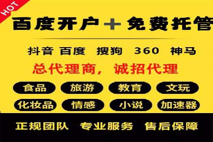 成功SEM竞价托管案例分析报告